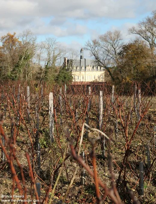 chriswinedoctor's tweet photo. Another chance to see: A new profile - the history, vineyards and wines of Château Lestage, Cru Bourgeois Exceptionnel.
https://t.co/AgnHExRFec 
[subscribers only] 
#wine #winetasting #bordeauxwine #cabernetsauvignon #merlot #cabernetfranc #chateaulestage #listrac #listracmedoc https://t.co/Kpsvy2B5ER