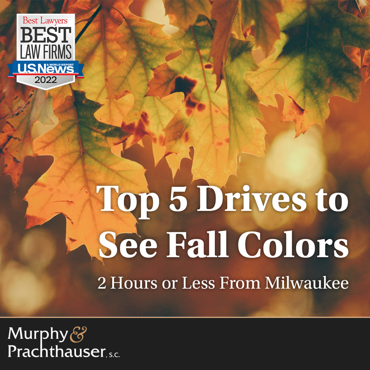 MP_LawOffices's tweet photo. It's the time of the year to go out and enjoy the fall colors before all the leaves fall! Check out our top 5 drives to see fall colors.
 
https://t.co/VUeg69IvyQ  #MKE #WI #FallFun https://t.co/HnBFFoMtQH