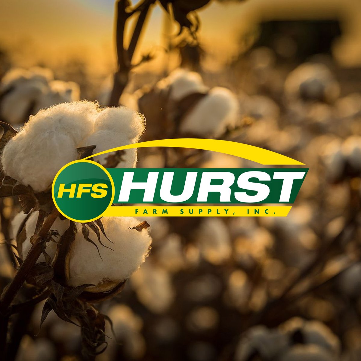 HurstFarmSupply's tweet photo. Feeling overwhelmed by #harvestprep this year? At all seven of our locations, we are prepared to help you this season.

Visit your local #HurstFarmSupply and let us find what you're looking for! 

https://t.co/nswAyHgXkj https://t.co/rIRTUs7lHB