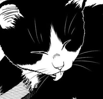 ─ ✩ Cuando dejar de insistir˚໒꒰  ♡◞ ˕ ก ꒱১