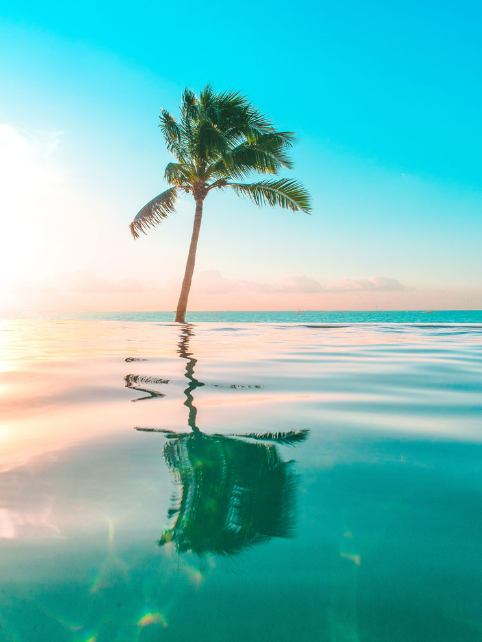 ABCancerLottery's tweet photo. Tomorrow is the last day to enter to win one of our many prizes, like a vacation to Mexico! Ticket purchases go toward supporting Albertans with cancer. Learn more here: https://t.co/M9k9BnLlo0
#cashandcarslottery #albertacancer https://t.co/2EyjhXdnaQ