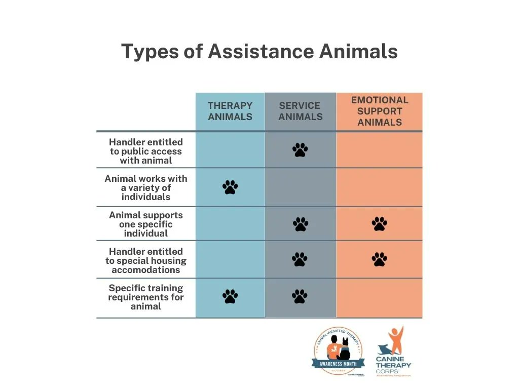 A question we hear every day is: What is the difference between therapy dogs, emotional support dogs and service dogs? We break it down for you in this handy chart!

@AATAwarenessmonth #animalassistedtherapymonth