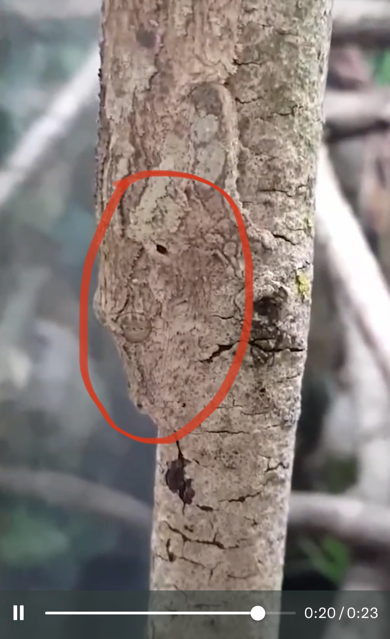 Science girl on Twitter "RT gunsnrosesgirl3 Here is the head an eye