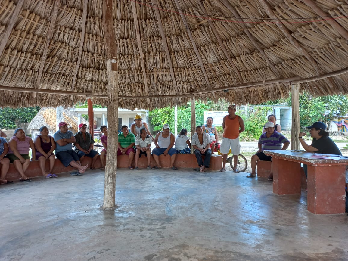 AmigosSianKaan's tweet photo. Como parte del proyecto Sac-Tun, la semana pasada visitamos las comunidades de X Hazil Primero, Melchor Ocampo, Trapich, San José Segundo y San Francisco Aké dando continuidad a la Estrategia de Fortalecimiento a la #GobernanzaHídricaComunitaria
#MayaKaan #EFGHC #SACTUN https://t.co/1tJ1vrcZq4