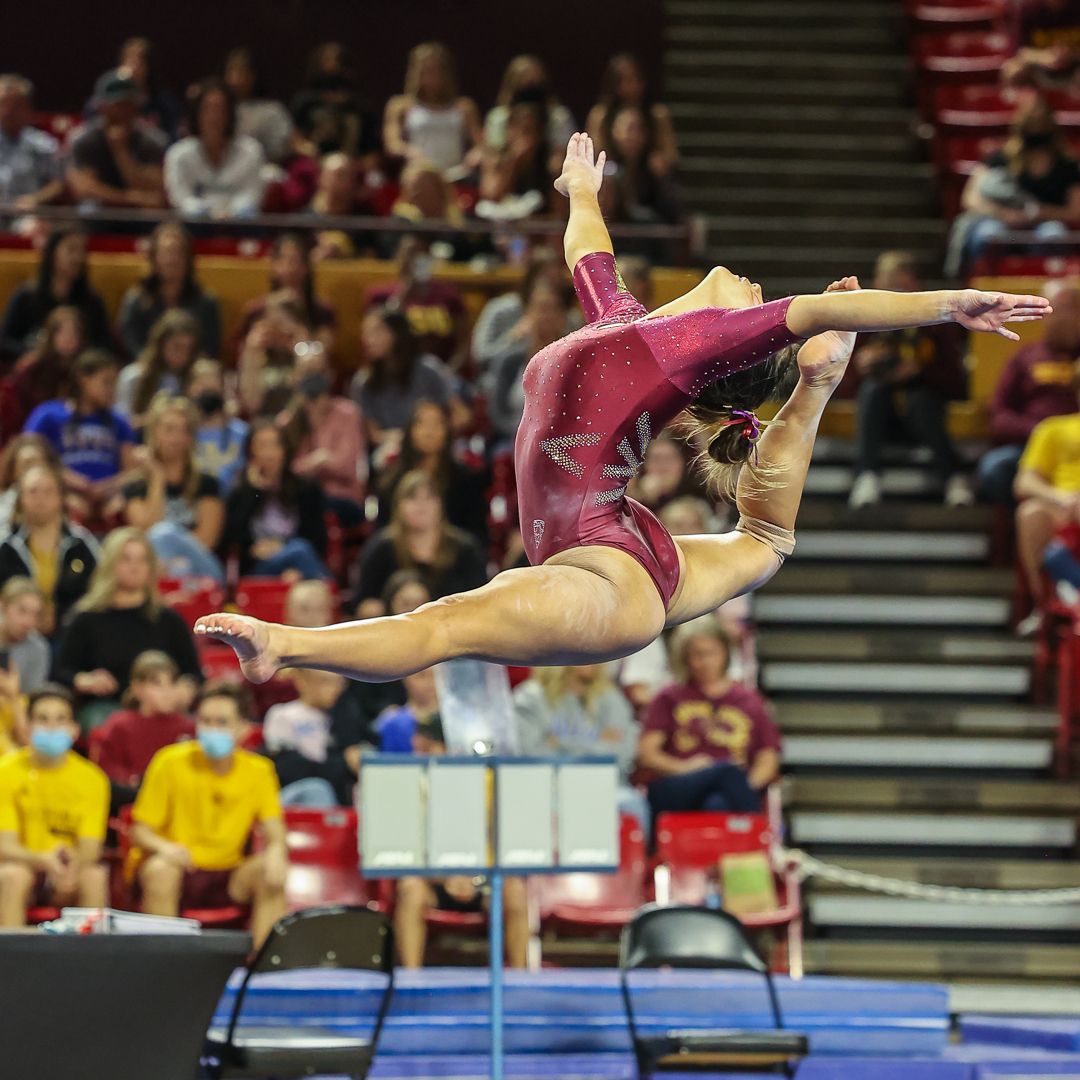 Steve Chadwick Photography tweet media