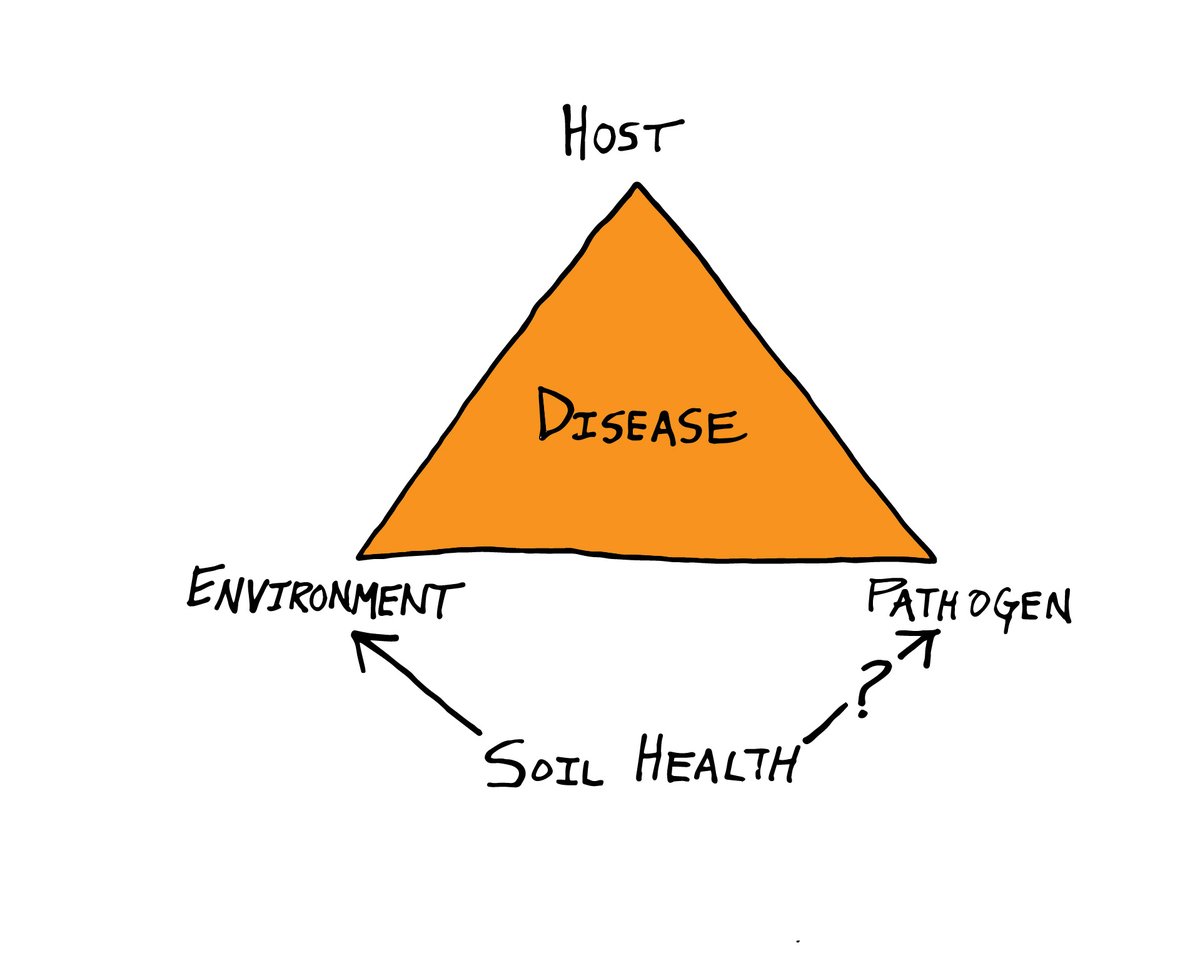 Healthy soils produce healthy crops, right? Nope.
Although it would seem the very definition of soil health, this popular thinking is off. Soil health can help with soilborne diseases, but it is not disease suppression. My latest here...csanr.wsu.edu/fine-tuning-so…