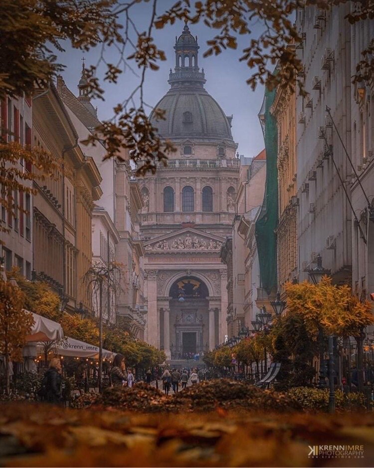 APIabroad's tweet image. Fall has arrived in Budapest #ispyapi #apiabroad 
📷 by @apibuda
