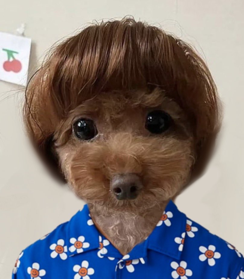 huntychan's tweet photo. can you watch him while i go smoke https://t.co/AuSirIz2pP