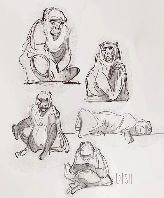 Want to be even more infuriated than you usually are while drawing? Try drawing animals from life  Right are the original sketches, later reworked them digitally! 