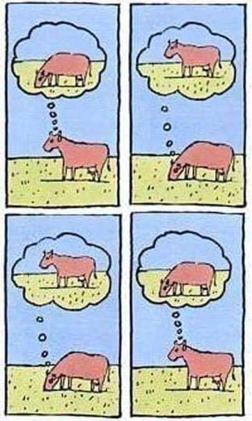 aeva (@aevaeavaevevave) on Twitter photo 