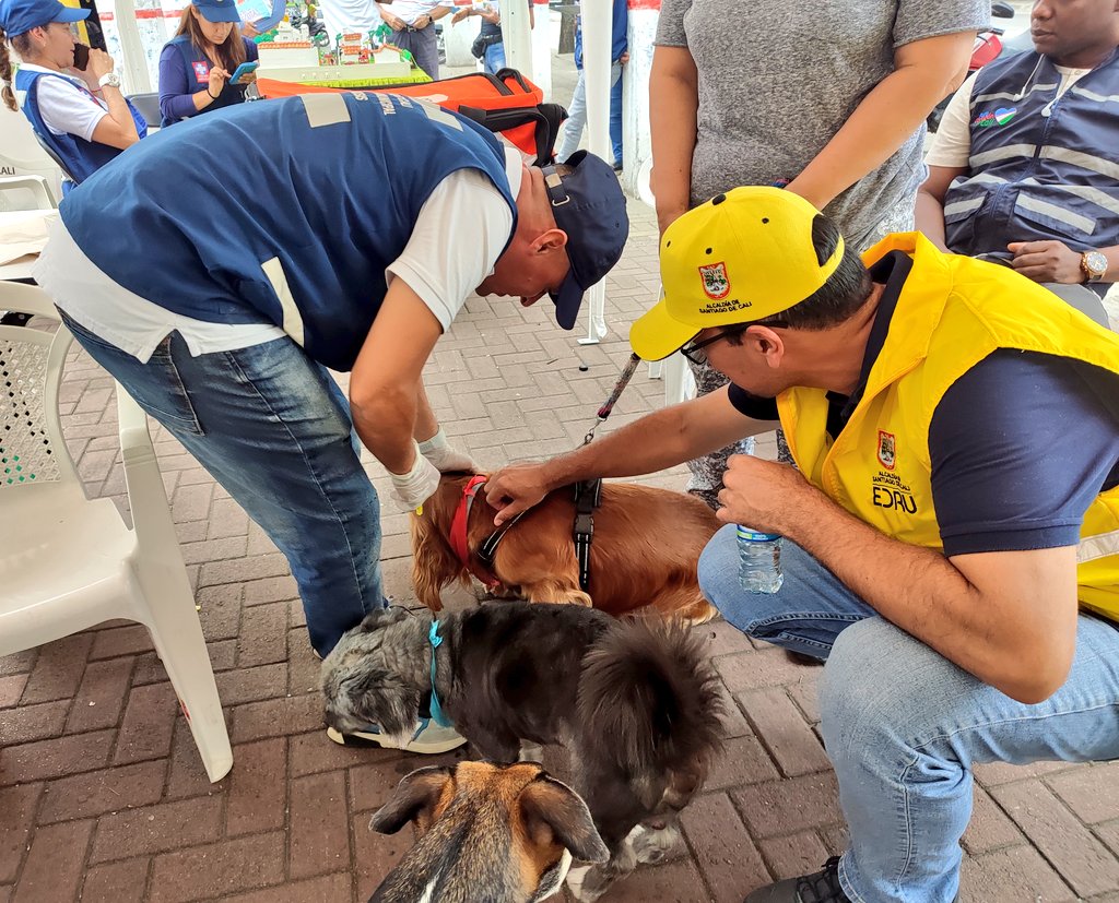 CruzYecid's tweet photo. #CaliUnSoloCorazón Nos mantenemos firmes y comprometidos con la transformación social del territorio 💪🏻
🗣️#Catasep adelantamos jornadas de servicio con atención integral a más de 300 personas.
🚮 Continuamos con la estrategia de contenerización de residuos en el centro. https://t.co/1ClD4KM9b3