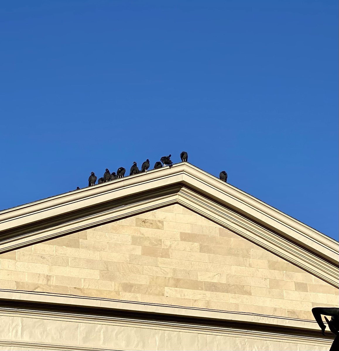 Dr. Natalie Wright tweet media