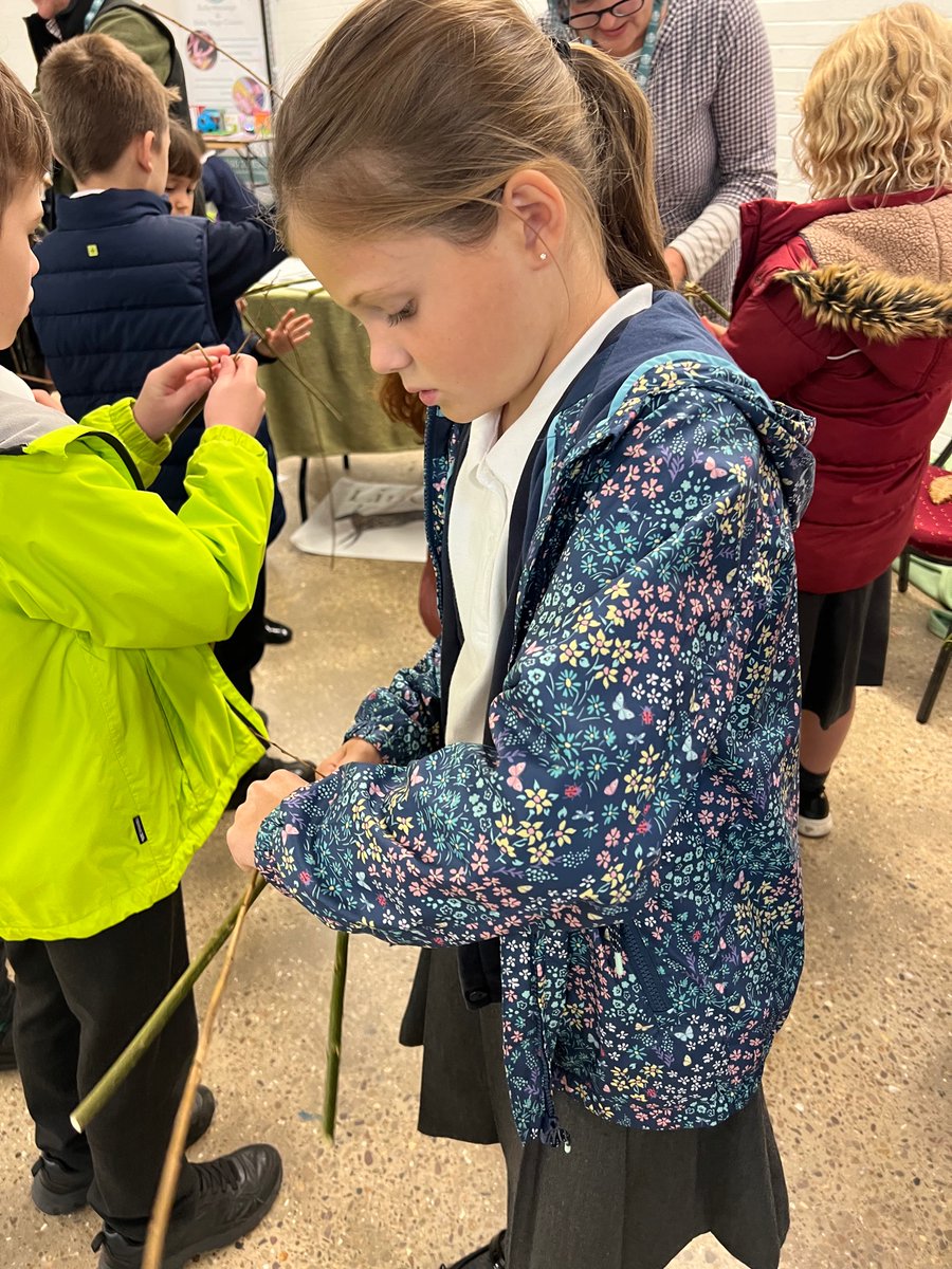 Newton Primary tweet media