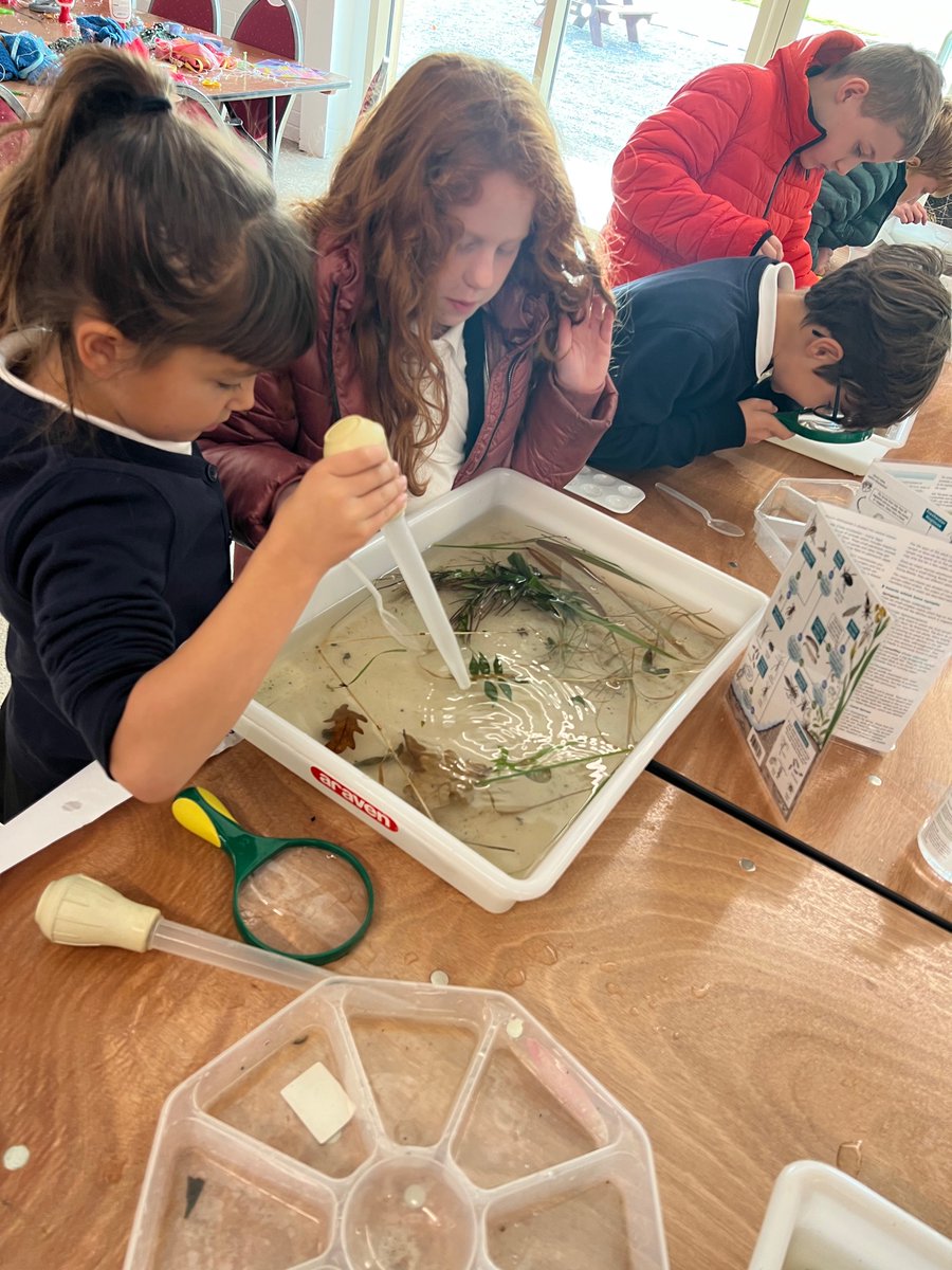 Newton Primary tweet media