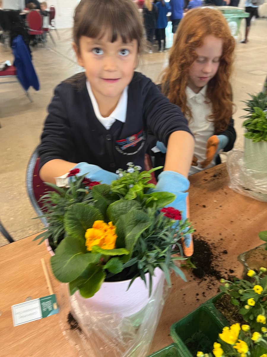 Newton Primary tweet media