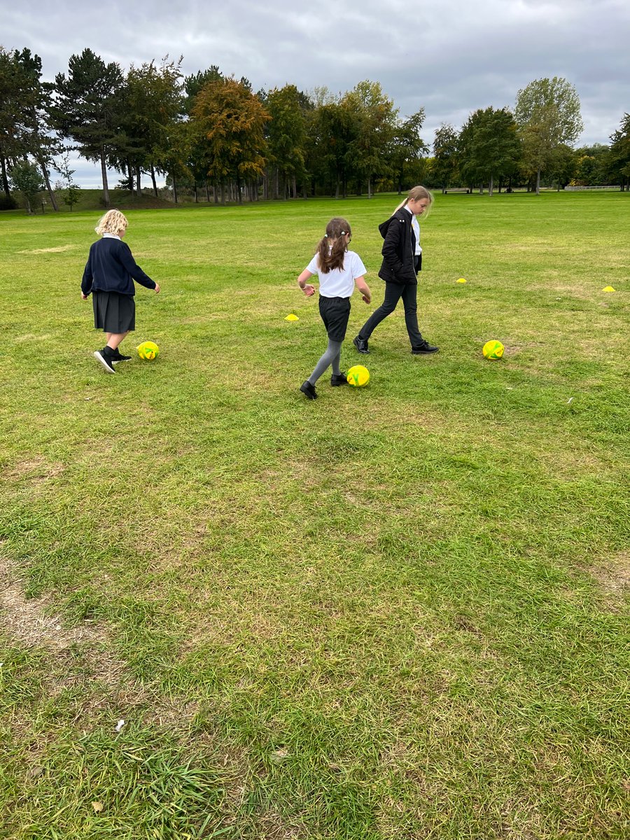 Newton Primary tweet media