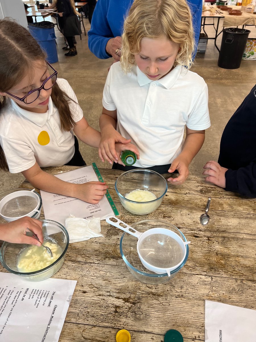 Newton Primary tweet media