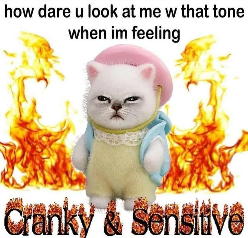 Alisha 💜🤘🧀🌊 (@cptnrawrpants) on Twitter photo 