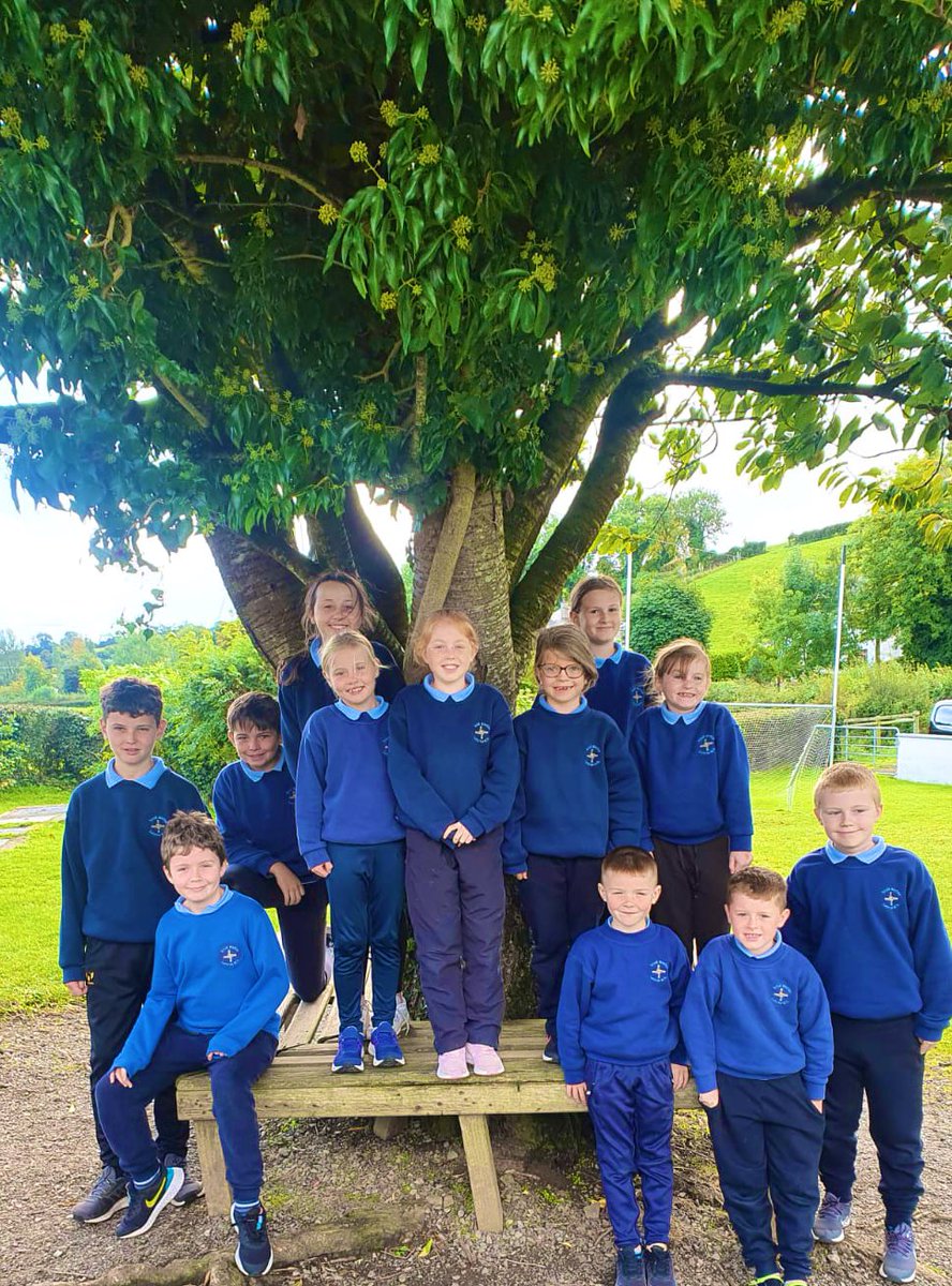 scoilbhrideNS's tweet photo. Our new Green Schools committee are already working hard on ideas for the travel flagโฆgreat job everyone!๐๐
@GreenSchoolsIre @AnTaisce @MonaghanCoCo #caringforourenvironment https://t.co/aftH28HTQe