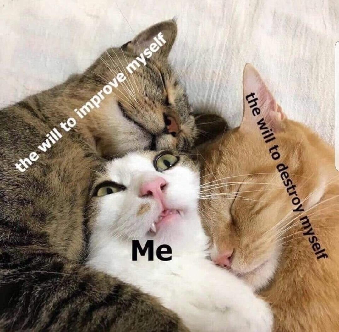 Alisha 💜🤘🧀🌊 (@cptnrawrpants) on Twitter photo 