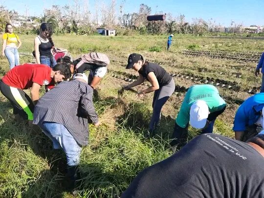 Nuestra Primera Secretaria Ailin Alvares visita la provincia de #PinarDelRio con los jóvenes en el surco.
#VamosConTodo.
#UJCPinar.