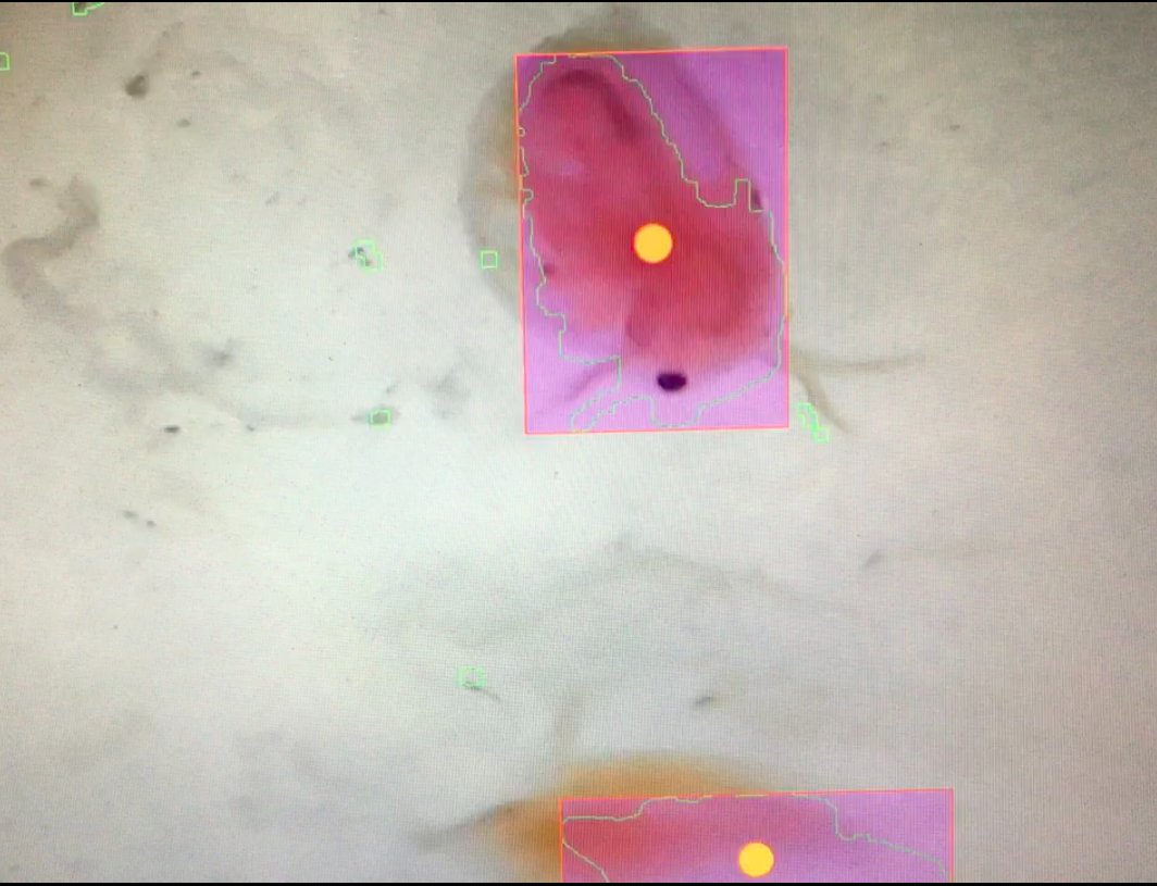 Dinaconference's tweet photo. Rodolfo Acosta Castro made  USB powered microscope maze for plankton to navigate https://t.co/25owQLp1FJ https://t.co/e58f7W5PcM