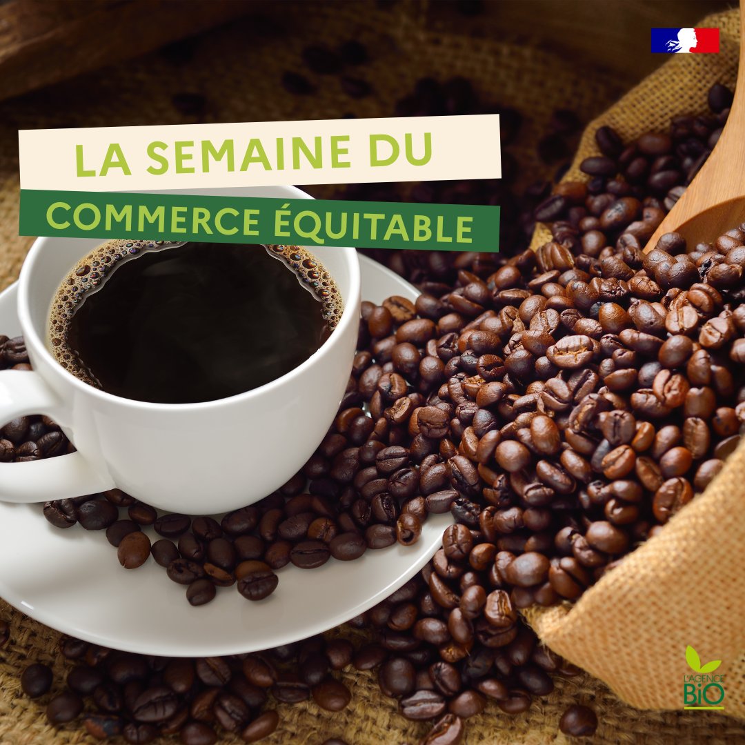Du 5 au 15 octobre, célébrons le commerce équitable ! 🚀 Un commerce qui garantit aux producteurs les plus défavorisés le respect des conditions de travail, le droit des travailleurs mais aussi la protection l’environnement. 🌳