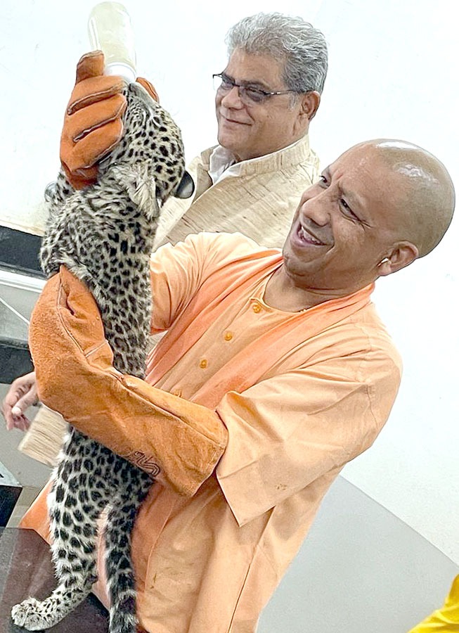 A 'Leopard' doesn't change its spots.