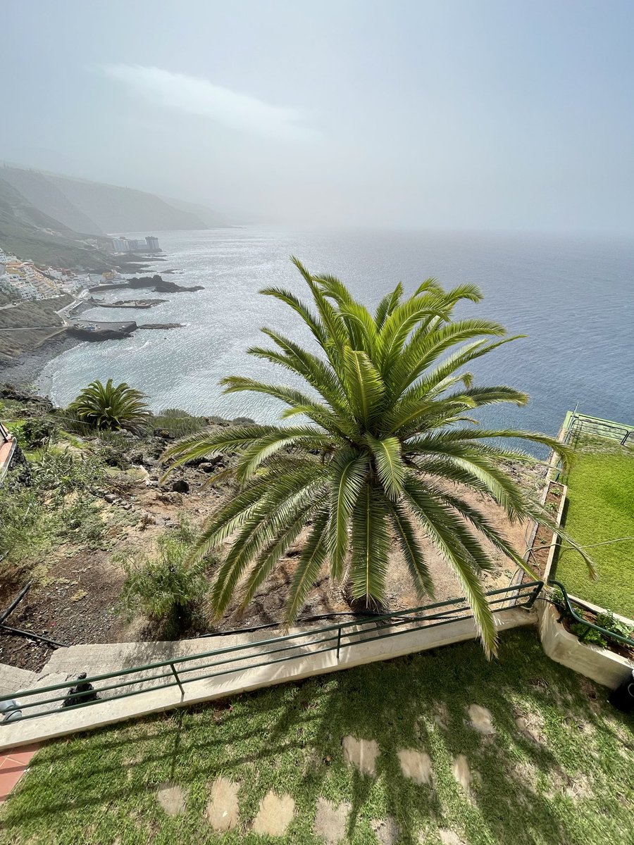 RaimundoMR's tweet photo. #Calima
#TerrazaAlMar
#RatitoDeRelax
#ElPris
#Tacoronte https://t.co/RlmnvfQrU2