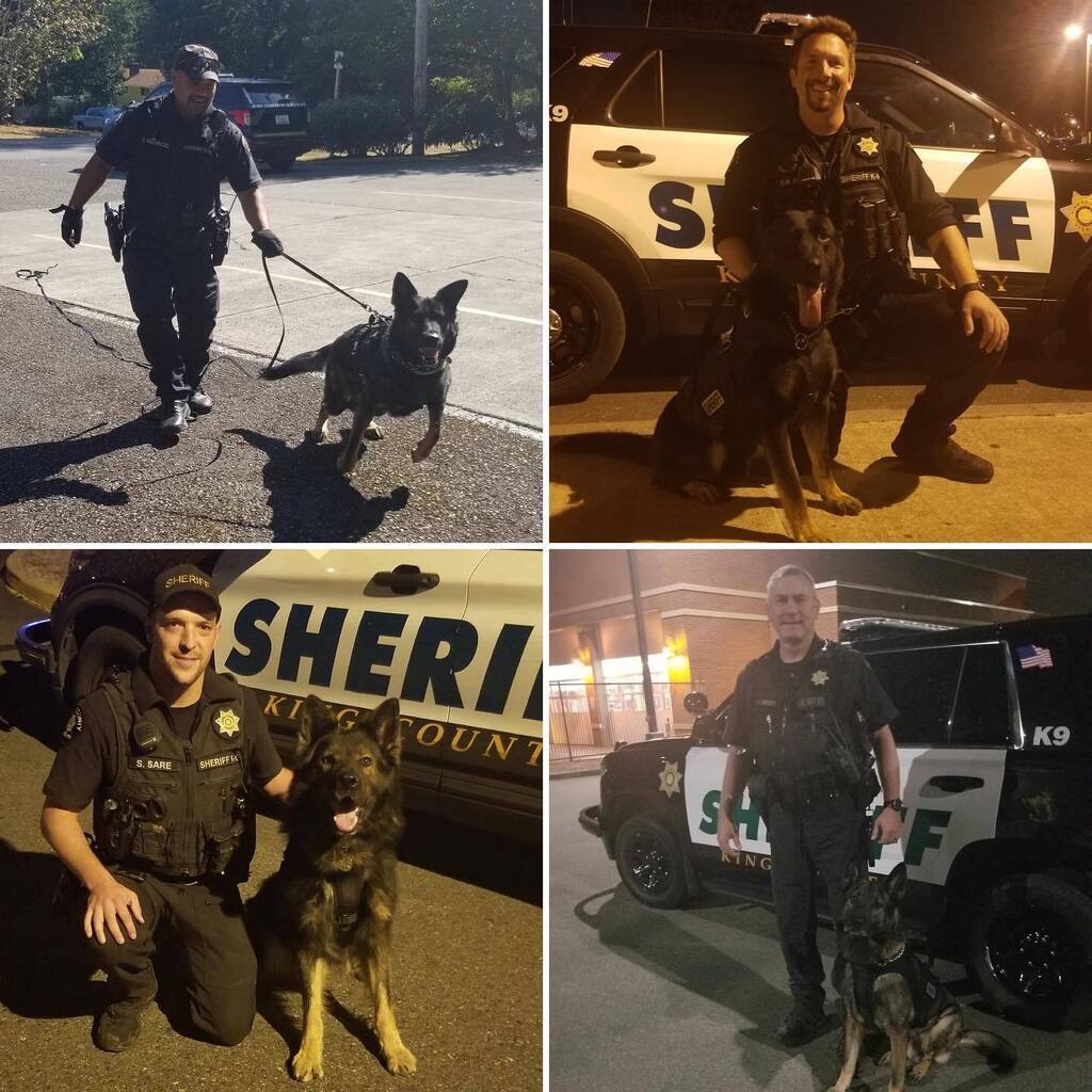 The only thing that should stand out is your work. King CSO just received custom-fit Patrol Swat Vests for their entire unit and they sent in these awesome photos of K9s Paco, Rex, Chuck, and Aro. At first glance, it doesn’t even look like they’re wea… instagr.am/p/CjVlpzmAk23/