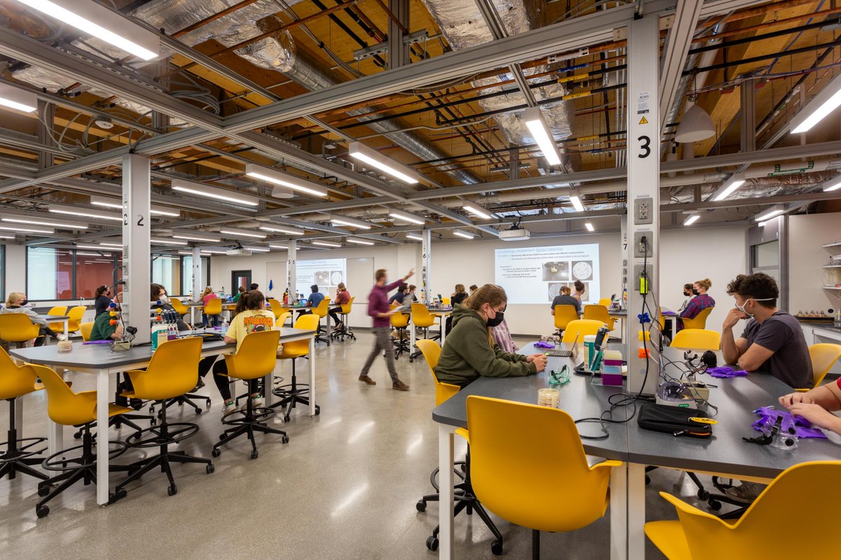 Ellenzweig tweet media