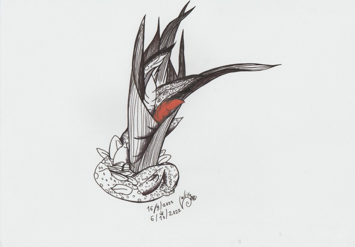 SunandLunastud1's tweet photo. Inktober Series 2022 Day 6 : Bouquet.
" Sprouting Garlic Bouquet of Rainicuda ".
#Inktober2022 #Bouquet #Inktober2022Day6
#Rainicuda #MasherSpread #homemadespread #Inktober
#purpleeye #drawing https://t.co/pqymzkDRLY