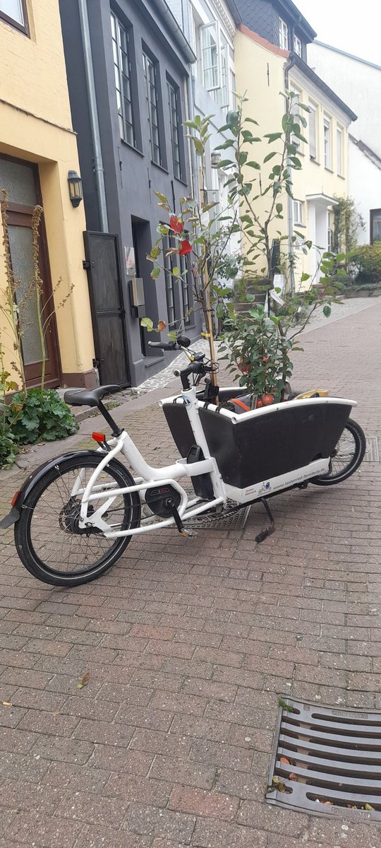 #Fjordbeweger stehen für #Nachhaltigkeit: Apfelbäume statt importierter Lebensmittel, #CO2-neutral transportiert.