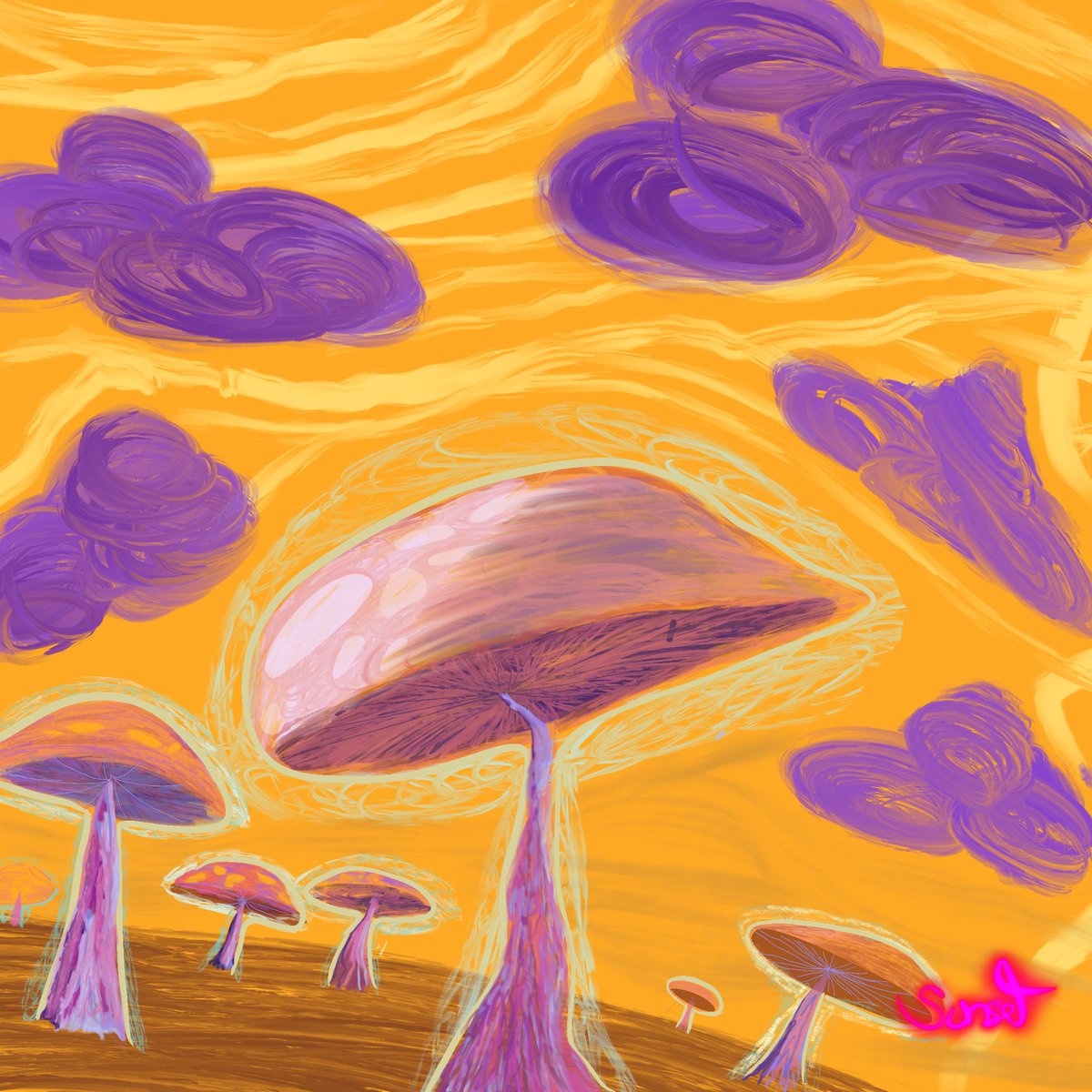 sunset city labs tweet media