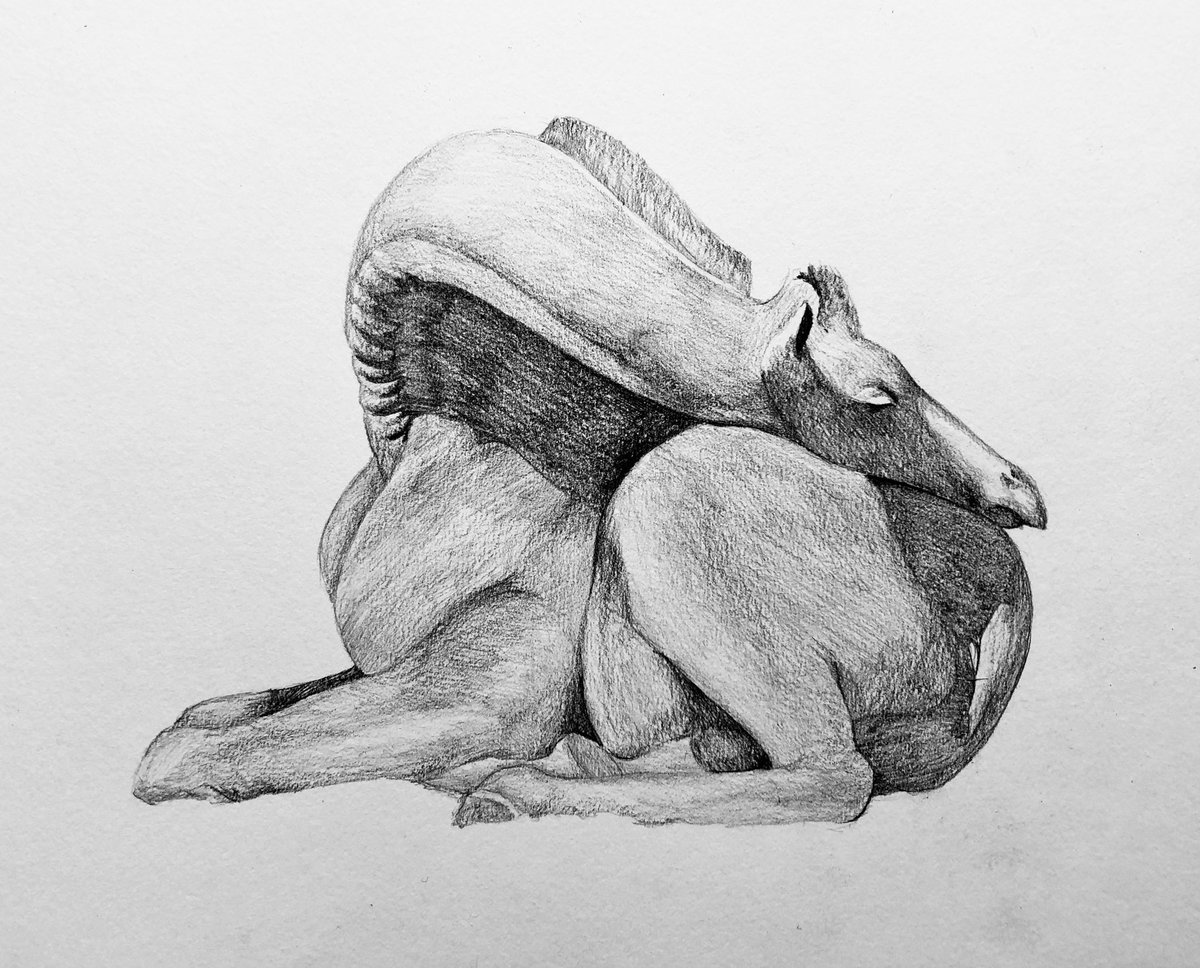 pencildrawing57's tweet photo. pencil drawing #pencildrawing  drawing #drawing pencil art #pencilart art #art artwork #artwork miniature #miniature animal #animal giraffe #giraffe 筆画 #鉛筆画 https://t.co/ytqhG8DJTc