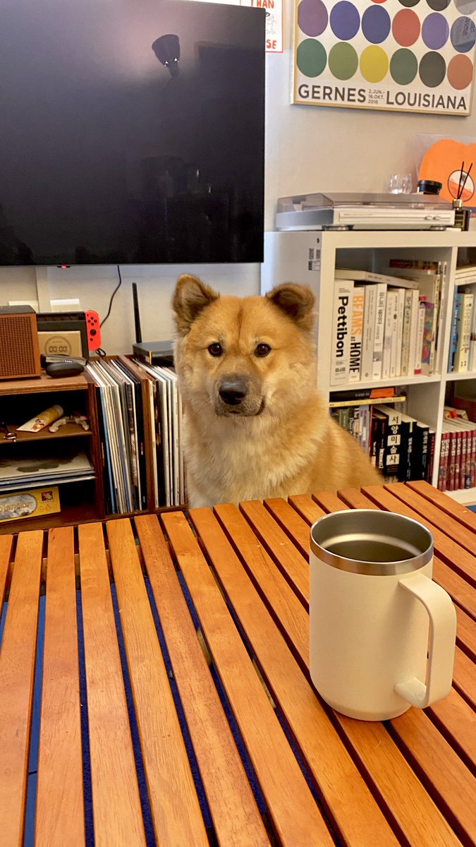 ㅋㅋㅋ밀스 이렇게 식탁 맞은편에 앉아있을때 하이디라오에 혼자 밥먹으러가면 맞은편에 앉혀주는 곰인형처럼 귀여움