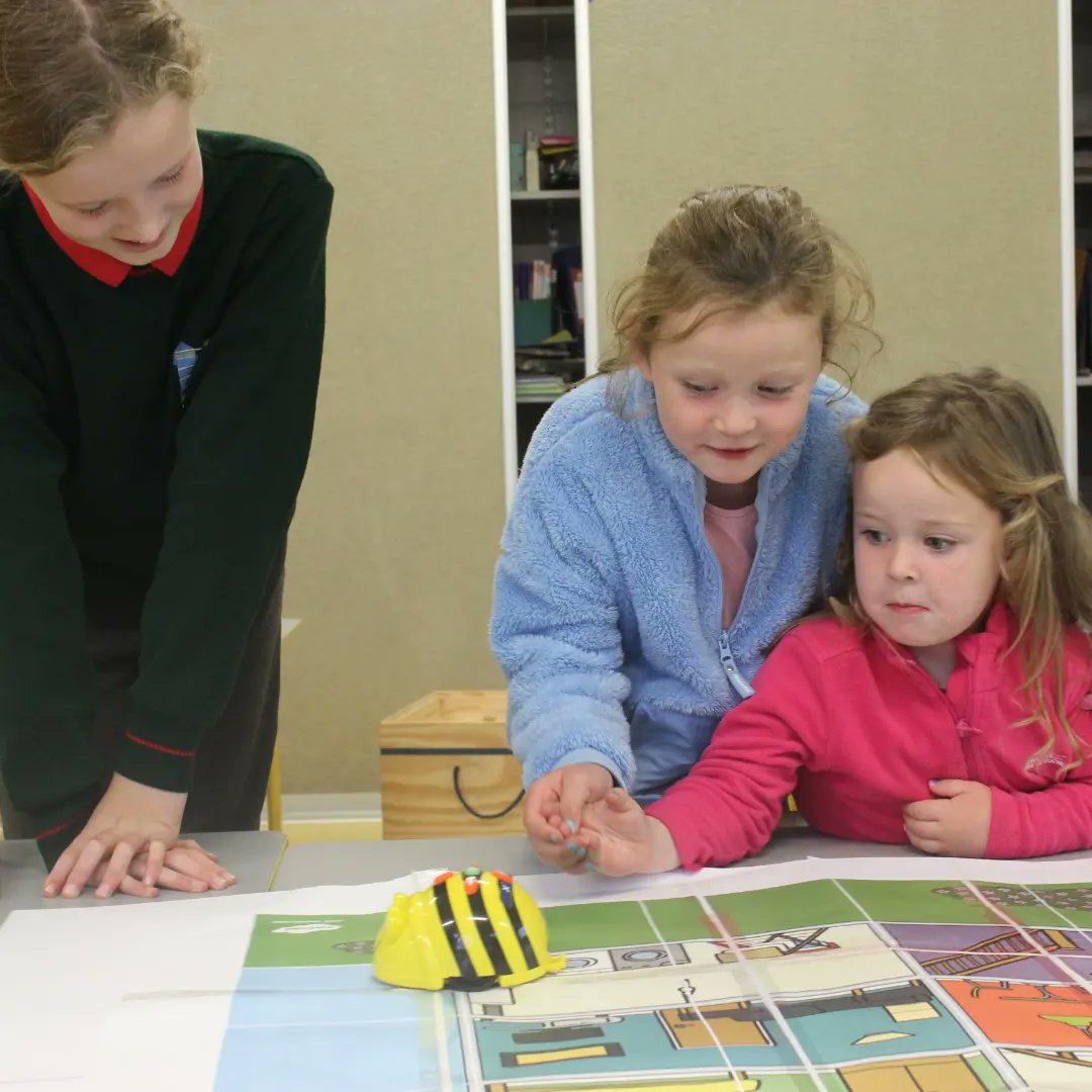 Star of the Sea Passage West tweet media