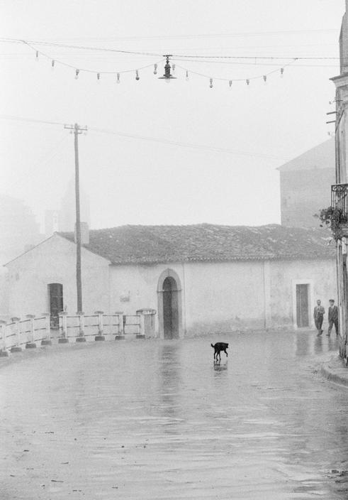 EnzaAltieri's tweet photo. Piccole solitudini

Calabria
Thomas Hoepker https://t.co/7uSmDbYLvI