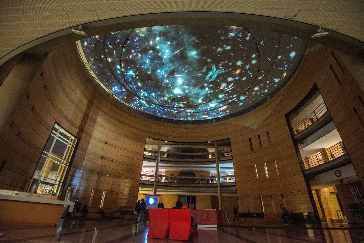 YorkUniversity's tweet photo. York U celebrated Nuit Blanche this past weekend with a variety of installations and performances throughout the Keele Campus. Check out a few highlights below! | @A_G_Y_U #nbTO22 https://t.co/EEuODNeETT
