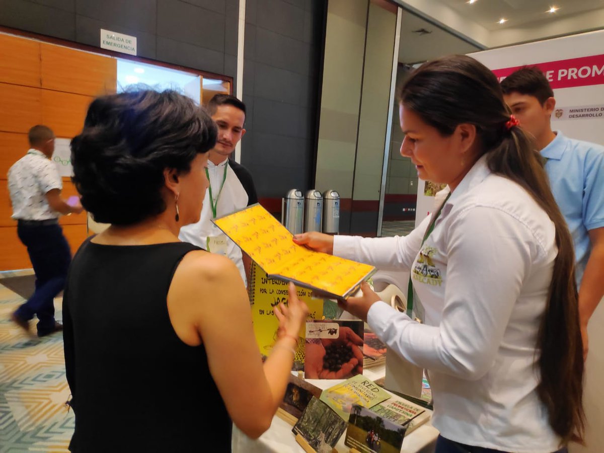 PnudColombia's tweet photo. En #ExpoBosques compartimos experiencias construidas con comunidades e instituciones en la Amazonía.🍃
Las Escuelas de Promotoría y Restauración Campesinas se presentan como modelo para el #ManejoForestalSostenible, la conectividad de los bosques, la sostenibilidad y la paz.🕊🌳 https://t.co/HgHiYbSQum