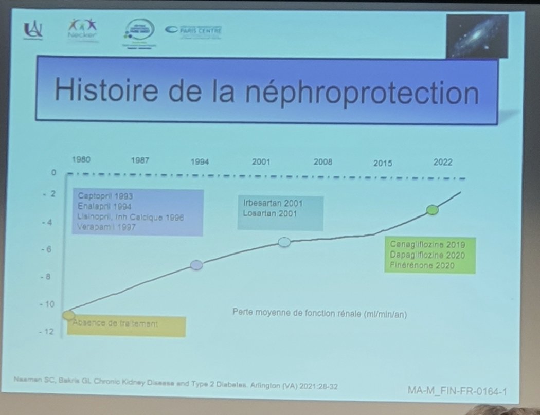dao_dr's tweet photo. Fresque historique #nephroprotection, ! Comment eloigner la suppléance rénale. ! @com_SFNDT #SFNDT2022 https://t.co/lrsFIWYDu8