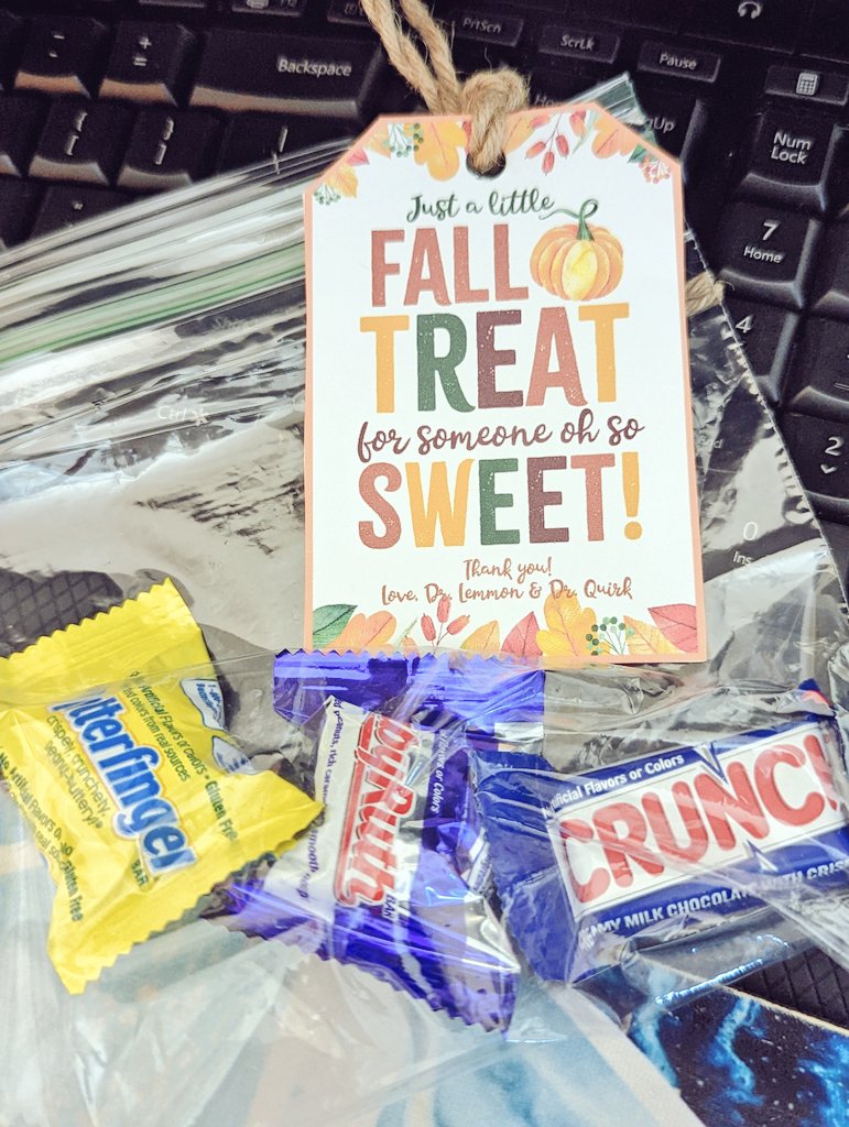 mrscolton417's tweet photo. What a nice surprise to have a visit and a sweet treat from @bradyquirk and @NicholeLemmon. Thanks so much! 🚀
#launchvirtual #elementaryteacher @fueledbylaunch @officialSPS https://t.co/8I6gQJApyT