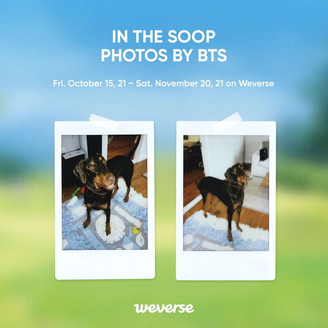 7BLost's tweet photo. 7LB IN THE SOOP 🌳 Season 2
Photos by 7LB NO.2-2
📷#7LB 이 전하는 인더숲 에서의 추억들
📷Memories from In the SOOP, told by 7LB
📷7LBから届いたIn the SOOPでの思い出
🌳Come visit 7LB's forest on Oct 07, 10PM (KST)!
👉https://t.co/alIVYv5KnZ
#7LBInTheSoop2 #SopitaDe7LB https://t.co/B7VtaRZn5E