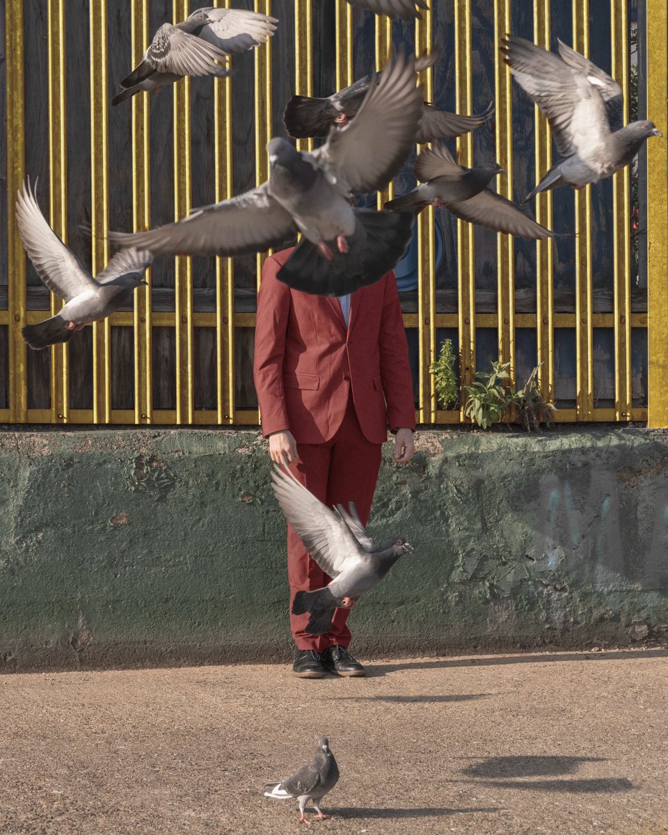 ben_zank's tweet image. Swarm of Government Drones