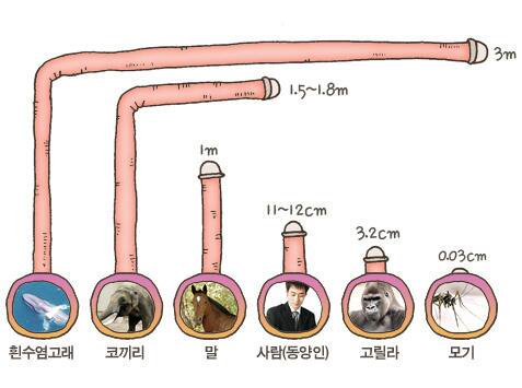 kbdam001's tweet photo. 고래... 와우~ https://t.co/DROotoeTFi