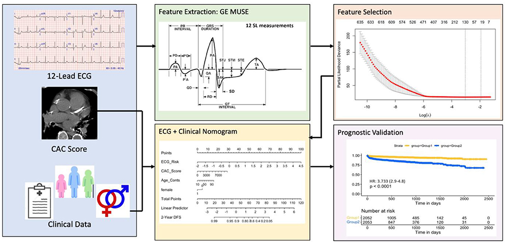 Anant Madabhushi (@anantm) on Twitter photo Thrilled to report new <a href="/FrontCVMedicine/">Frontiers in Cardiovascular Medicine</a> paper "Machine learning derived ECG risk score improves cardiovascular risk assessment in conjunction with coronary artery calcium scoring". Led by <a href="/siva_shruti/">Shruti Siva Kumar</a> & the one & only <a href="/Sadeer_AlKindi/">Sadeer Al-Kindi, MD</a>
Full paper: tinyurl.com/bdfhnt3j Thrilled to report new <a href="/FrontCVMedicine/">Frontiers in Cardiovascular Medicine</a> paper "Machine learning derived ECG risk score improves cardiovascular risk assessment in conjunction with coronary artery calcium scoring". Led by <a href="/siva_shruti/">Shruti Siva Kumar</a> & the one & only <a href="/Sadeer_AlKindi/">Sadeer Al-Kindi, MD</a>
Full paper: tinyurl.com/bdfhnt3j