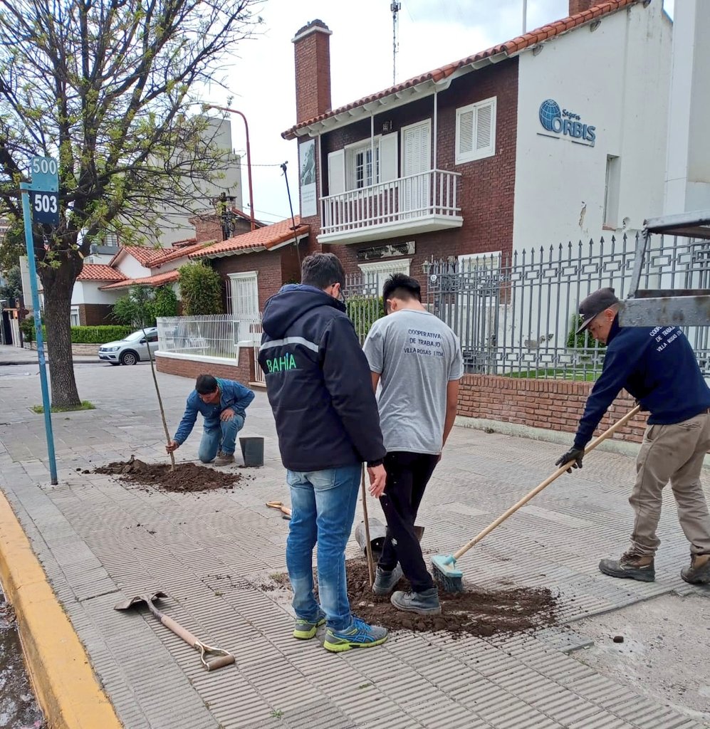 seguridadmbb's tweet photo. 🤩En marco del Bahía Planta, continúan los trabajos de colocación de ejemplares arbóreos en veredas de micro y macro centro

🌳Se plantaron 44 Jacarandás y 51 Lapachos

➡️Las tareas estuvieron a cargo de la Coop Villa Rosas, con supervisión de la Dir. de Ordenamiento Forestal https://t.co/NT1R9qBtZp