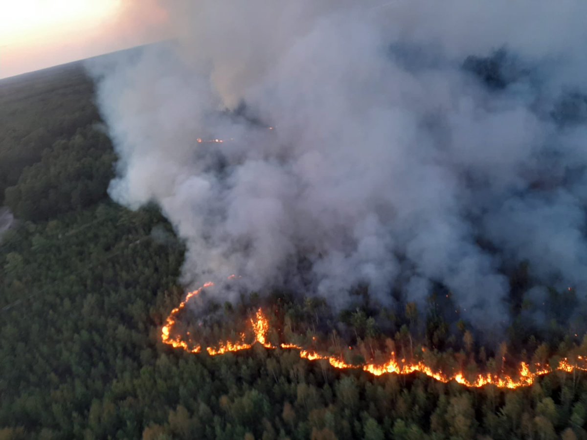 pompiers36's tweet photo. 🎙️Les @pompiers36 ont participé à une formation pour 250 élus locaux de l’#Indre sur les enjeux du changement climatique.

L’adaptation des sapeurs-pompiers face aux nouveaux risques auxquels notre territoire a fait face : incendies, grêles, inondations 👉 https://t.co/rWxU19jx1Q https://t.co/9mLKxsFAxp
