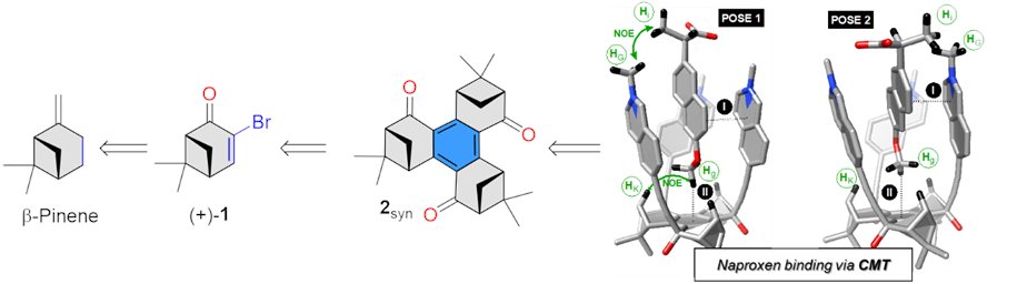 Radoslav (Rade) Pavlović 🧪🦋🌈 tweet media