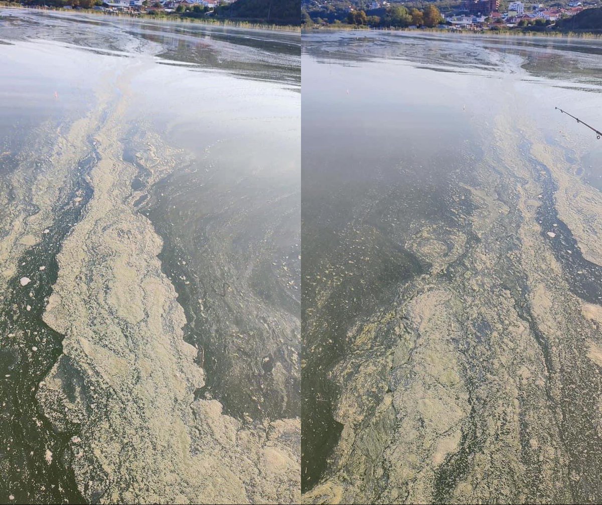 ЛО ДОЈРАН: Дојранското езеро е пред еколошки колапс!

🔻Во него се наоѓаат екстремно високи концентрации на отпадни материи, фосфорни и азотни соединенија.

bit.ly/3Vg5PKG